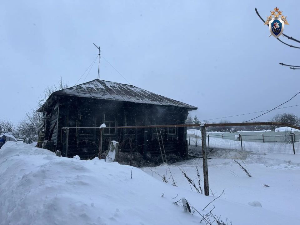 В Сосновском районе Нижегородской области по факту гибели на пожаре трех человек возбуждено уголовное дело