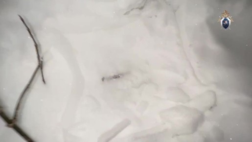 ����������� �������� � �������� ����, ��� �� ���