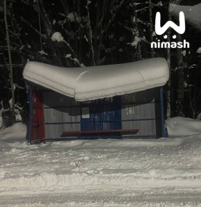 Крыши остановок складываются под тяжестью навалившегося снега в Нижегородской области