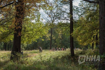 В Нижегородской области актуализируют Красную книгу