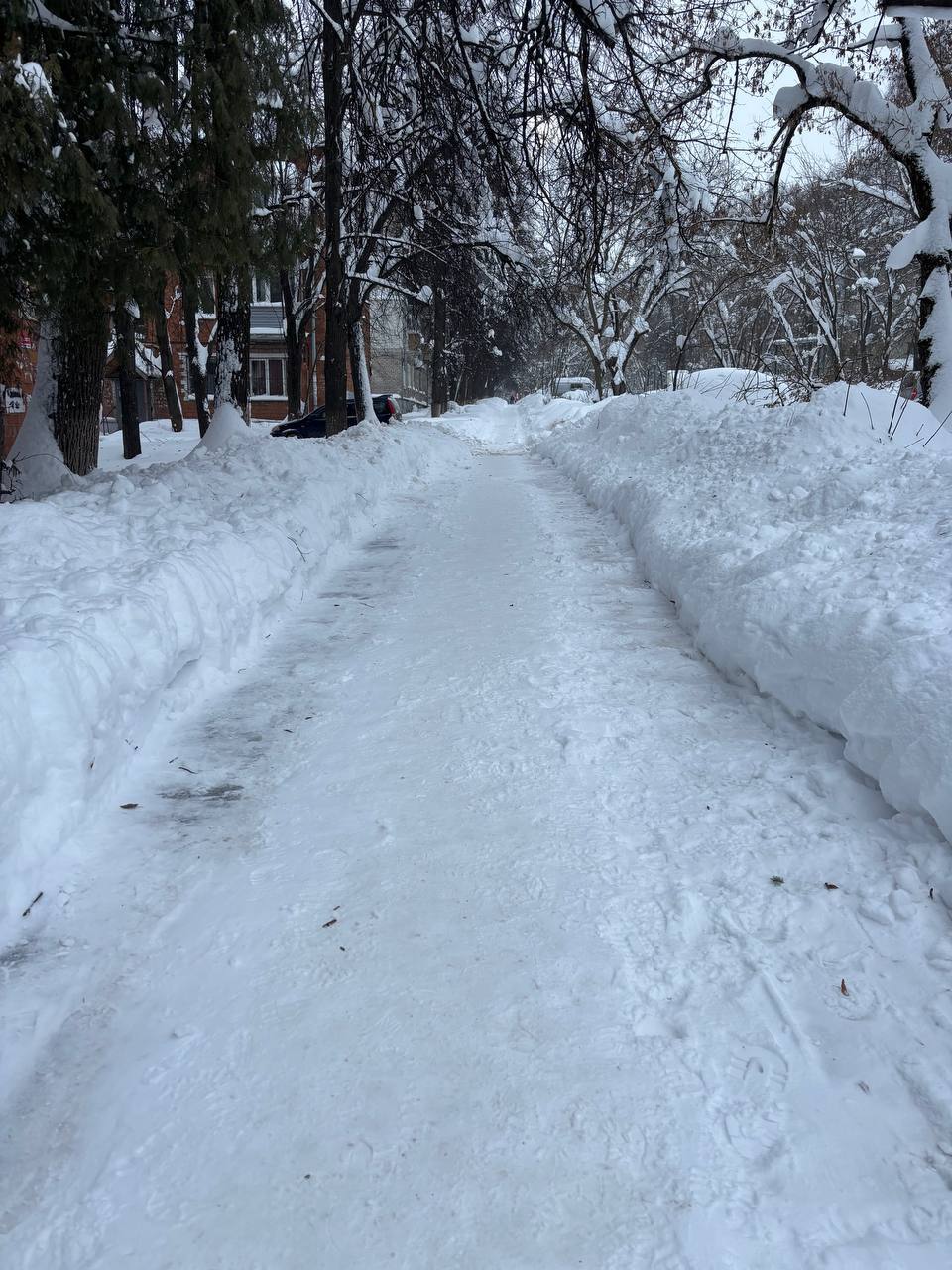 Очистили территорию поликлиники №35 от снега Очистили территорию поликлиники №35 от снега