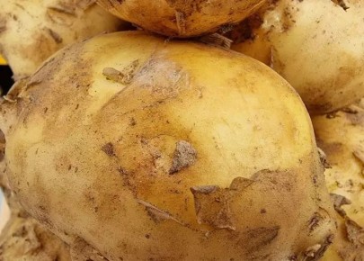 ��������� ��������� ����� ���������: ����� �� ������������� ������ � ��� � ��� ������