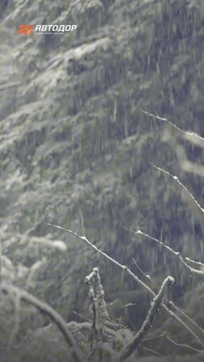Внимание, водители. Во Владимирской и Нижегородской областях, Чувашской Республике и Татарстане действует сильный снежный циклон