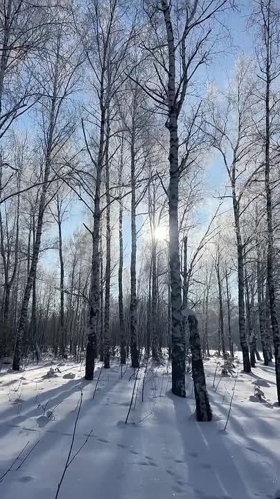 ������ ����, �����������!. ������� � ������ ����������� �������: �����