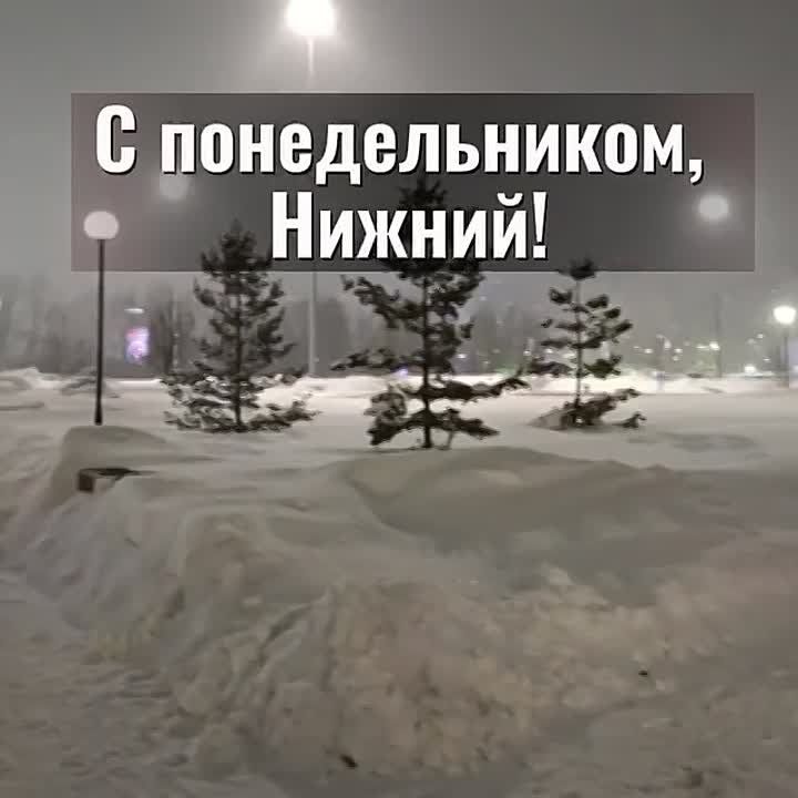 ������ ����, �����������!. ������� � ������ ����������� �������: �����