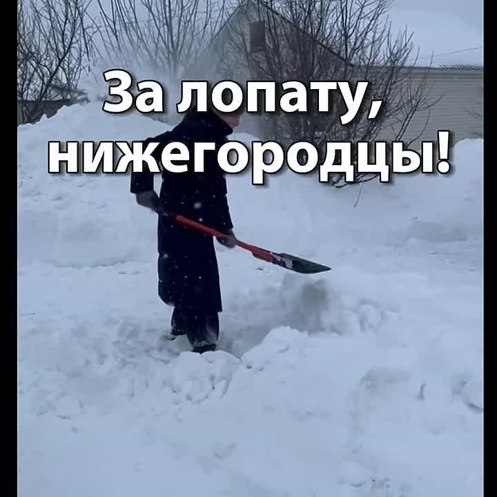 ������ ����, �����������!. ������� � ������ ����������� �������: �����