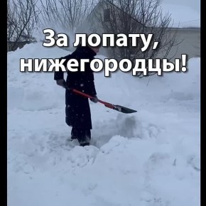 ������ ����, �����������!. ������� � ������ ����������� �������: �����