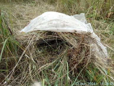 ������ ������ ����� ��� ������: ��� ������� ��������� ������� ��� ������� ������