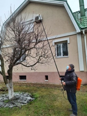 ��� ����������� ��� � �����: ������ ������� ��� ��������� ��������?