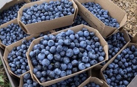 ��� ��� ������: ������� ����� ���������� �� ������?