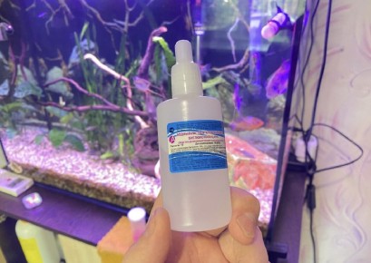 ������ �������� � ��������������: ��� ������������ � ����