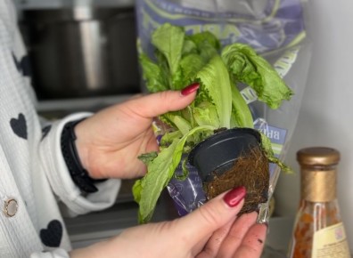 ��� � ������� ���������� � ��������� �����: ������� ������