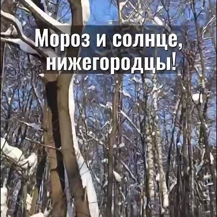 ������ ����, �����������!. ������� � ������ ����������� �������: �����