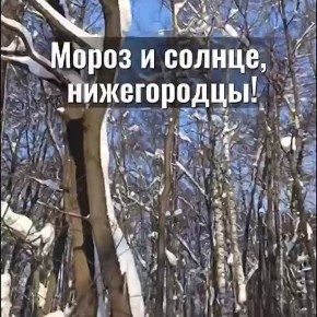 ������ ����, �����������!. ������� � ������ ����������� �������: �����