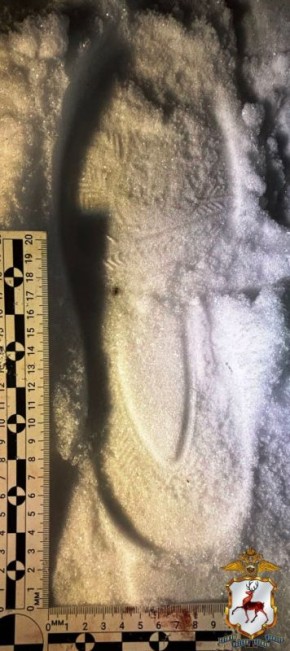 � �������� ���������� ������� �� ������� ������ �������� ������������, ��������� � ������������� ����������� ������������ ���������