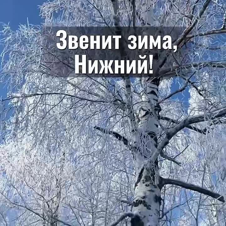 ������ ����, �����������!. ������� � ������ ����������� �������: �����