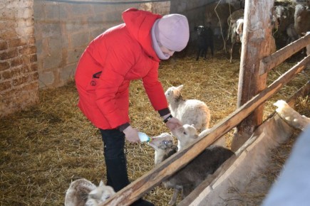 �� �������� ������ ����������� � ������������� ������� � 2026 ���� �������� 365,5 ��� ������