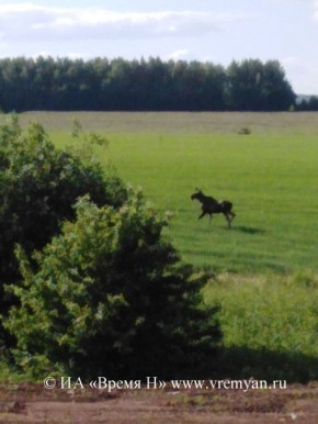 �������� ���������, ��� ����������� ��� ������� � �����