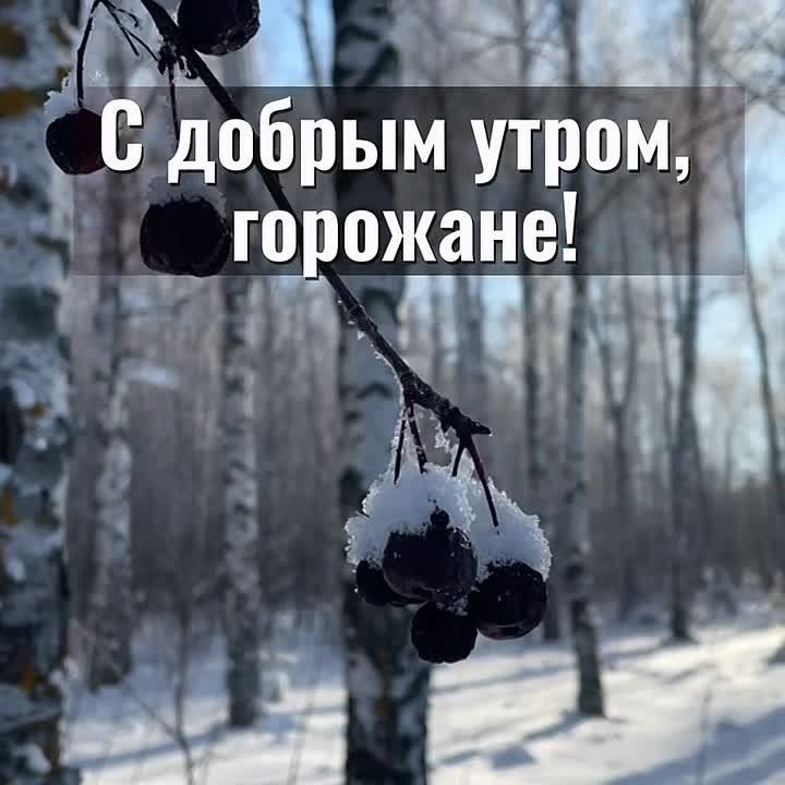 ������ ����, �����������!. ������� � ������ ����������� �������: �����