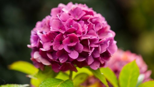 ��������� �������� ��� ������� ���� � ����� �����: ������� ������ ����