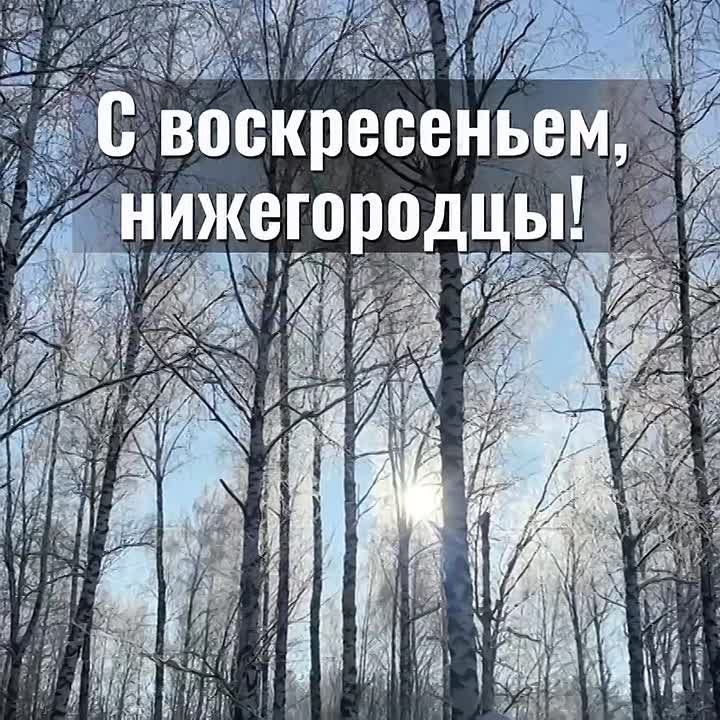 ������ ����, �����������!. ������� � ������ ����������� �������: �����