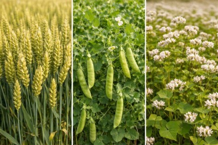 ������������� ������ ������ ��� ����� ����� ��������