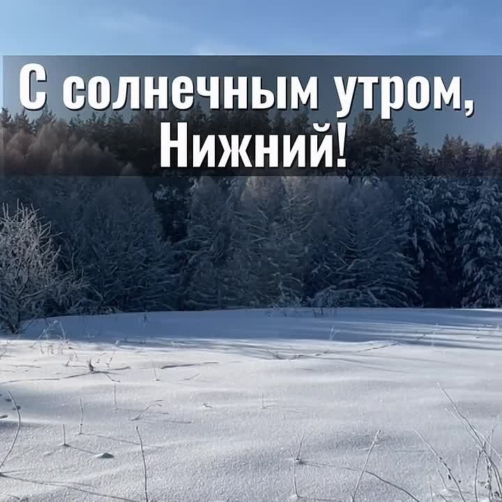 ������ ����, �����������!. ������� � ������ ����������� �������: �����