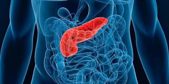 ������������� ��� �������: ����� �������� ������� ������������ ��������