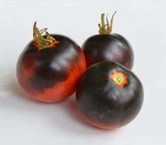 ����� ����� ������� �����: �������� �� ����� ������