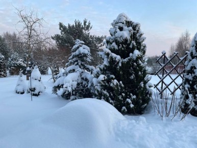 ���������� ����������� ����� � �������: ��� �������� �����������