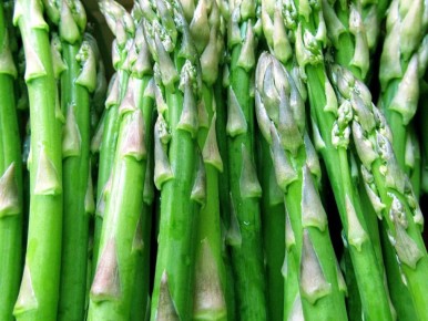 ������: ������� ��������� ����������� � ����������� ������������ �� ����� �����