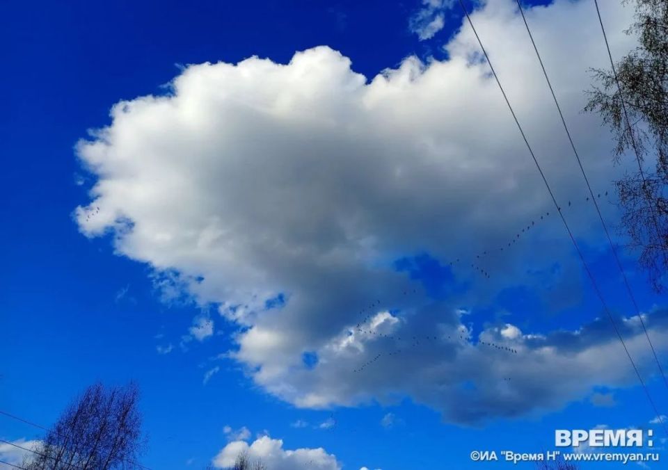 �� ������ ���������� ��, ��� ������������� �������� �������� ����� ���� ����� 9 ����