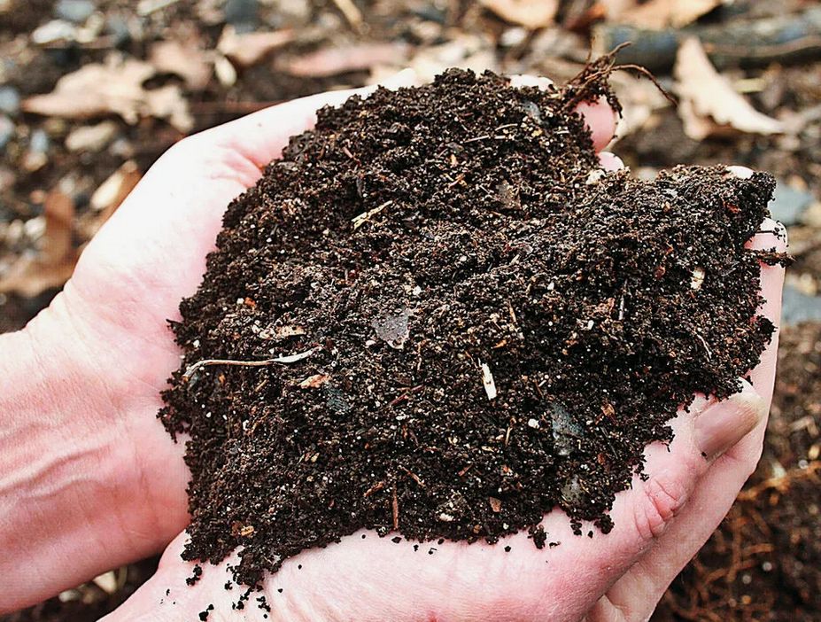 ��� ������� ������ ������ ������ ���������� ��� ������ ����