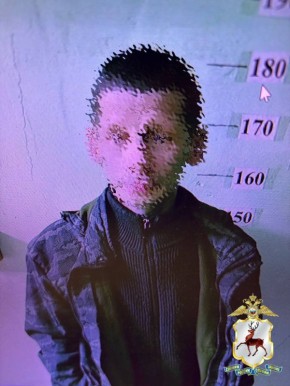 � ���������� ������ ��������� �������������, ������������� � ���������� ���� ���� �������� �������