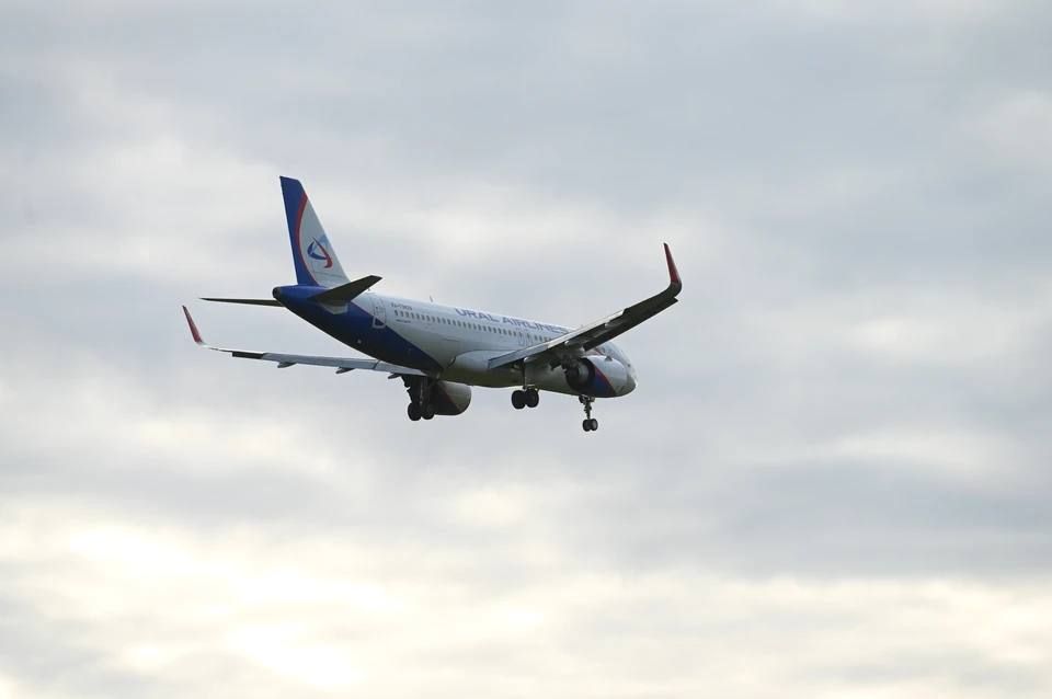 Летевший из Египта житель Нижегородской области привлечен к ответственности за мелкое хулиганство на борту воздушного судна