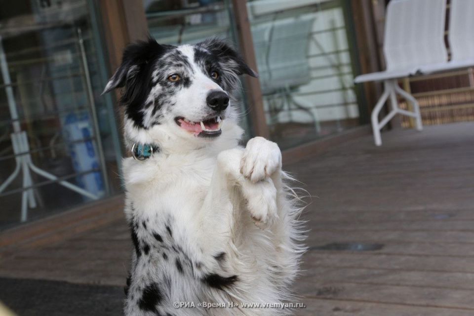 ������ ���������� � ������������ �������� ���������� �� ����� � 16 �������