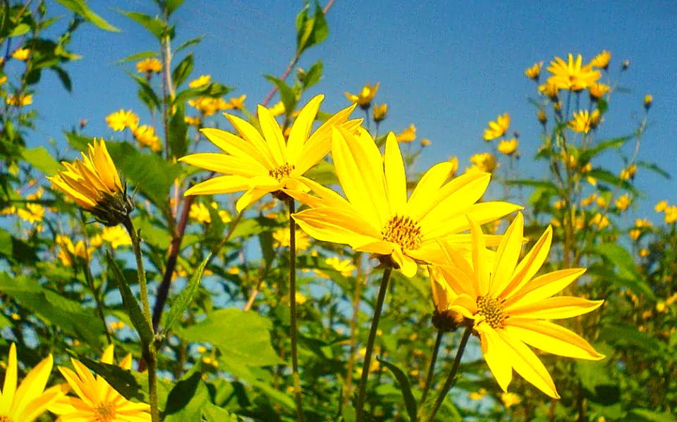 ��� ���������� ����� �������� ���� �������� � ��������� �� ���� �����