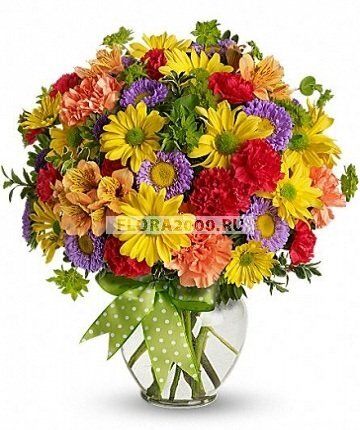 ��� ����� ������ �� ���� ������������