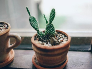 ��� ��������� ��������� �� ��������� �����: ������� �������� �������