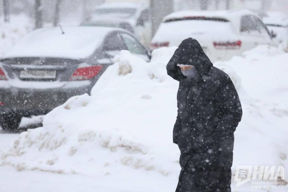 ������ ������������ ���� ���� � ������ � �������