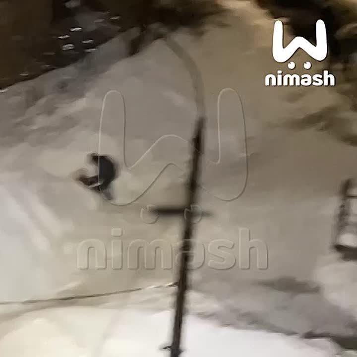 �������� � ���� �� ���������� ����� �� ������ ������