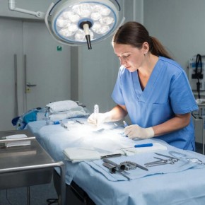 ������������� ���� ������������ ����������� ������ ���������� �������� 15 �������