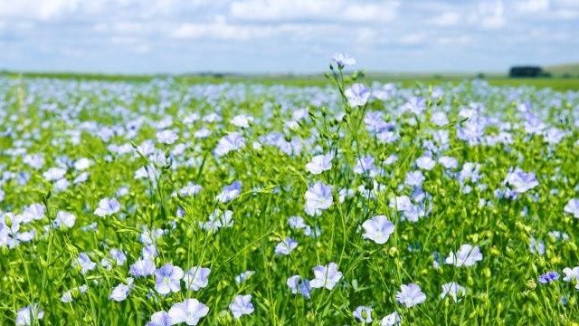 ��������: ��� ������� �������� �������� �������� ����� � �����������