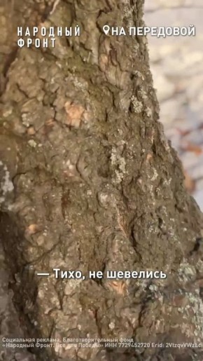 Тишину морозного дня нарушает жужжащий звук