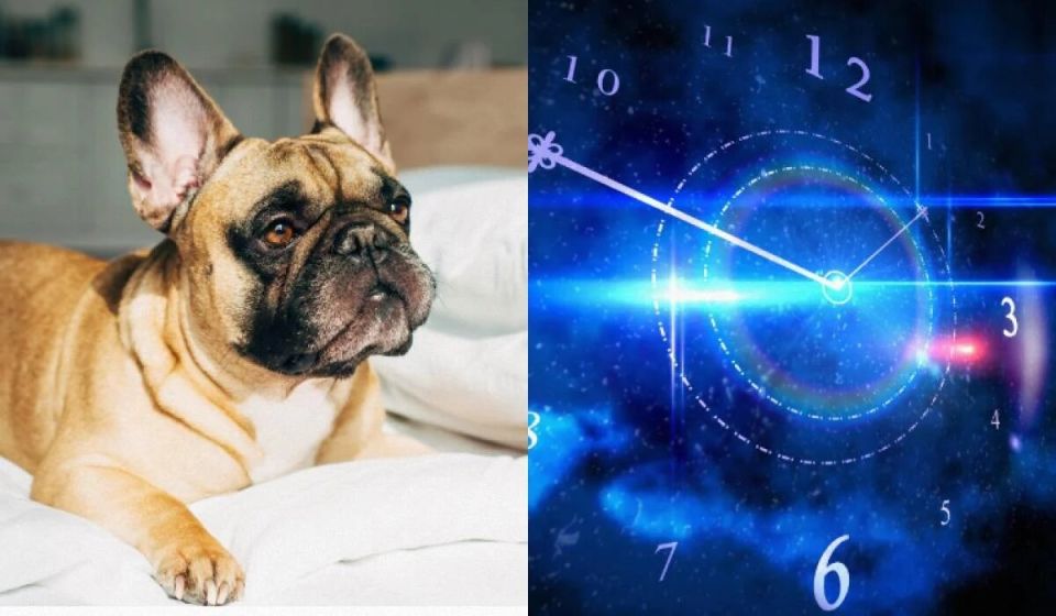 ��� ������� ��������� ������ � ����������� �� ������ ����� �������