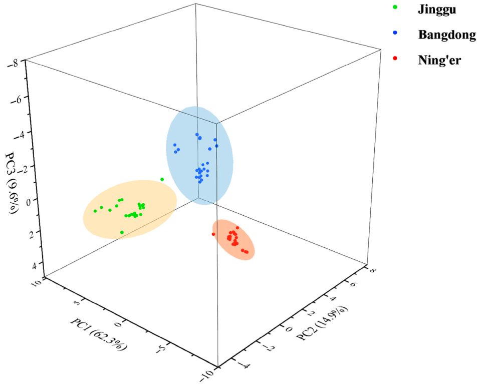 ��� ������������ ����������� ������ �� ������ �����: ����� �������� ������