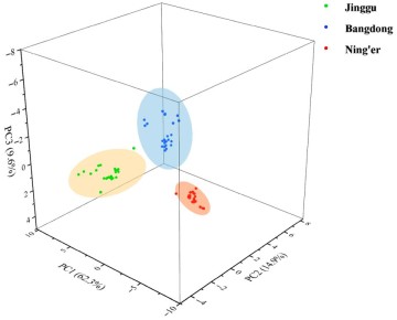 ��� ������������ ����������� ������ �� ������ �����: ����� �������� ������