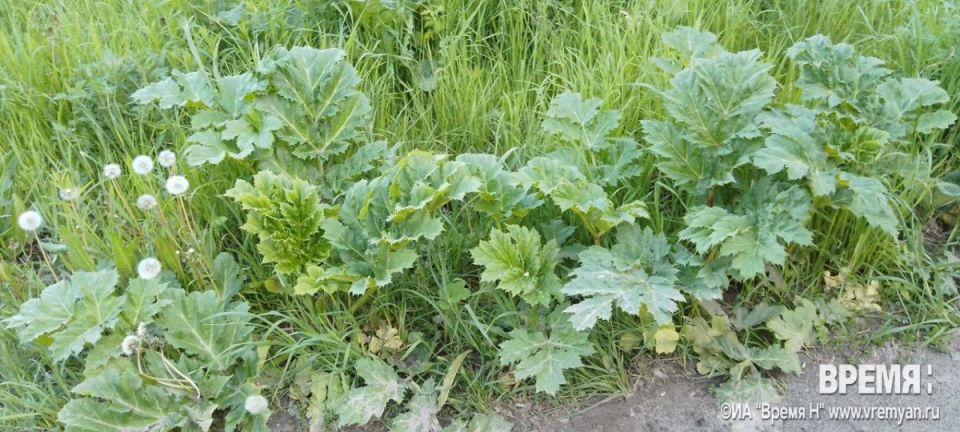 ������ ������������� ������ � ������ � ���������� ������� � ������������� �������