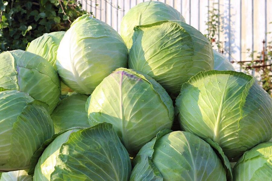 ��� �� ���������� ��������� ������ ��� ����� �������: 3 ������ �������� ��������