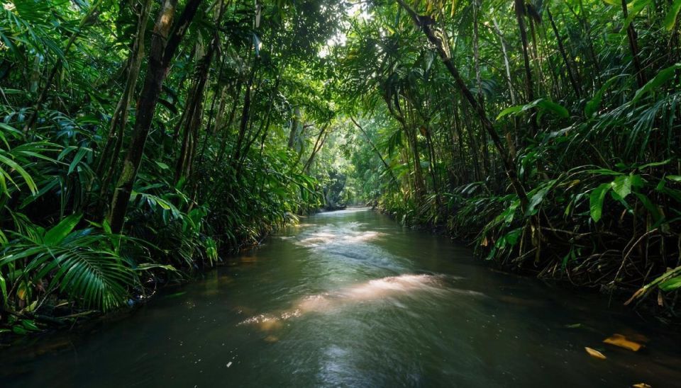 ���� ��: �������� � ������� �����